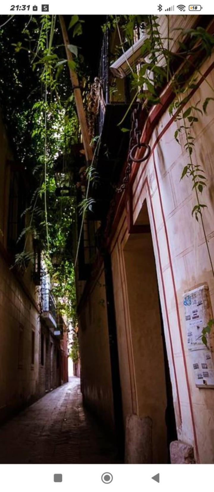 La Casa De Pepa Apartment Seville Exterior photo